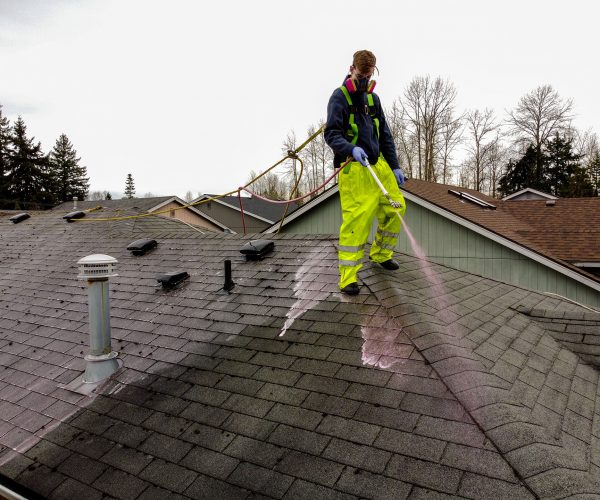 Roof Cleaning-29-1920x1440