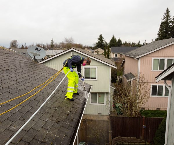 Roof Cleaning-37-1920x1440